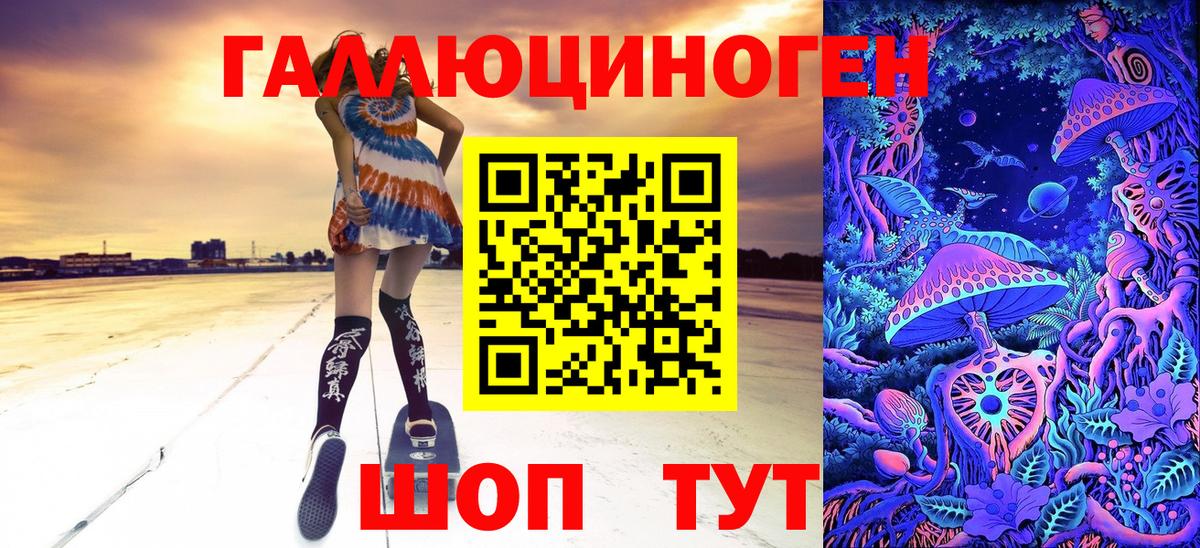 купить   Вход с VPN  Зеленогорск  Псилоцибиновые грибы мицелий 